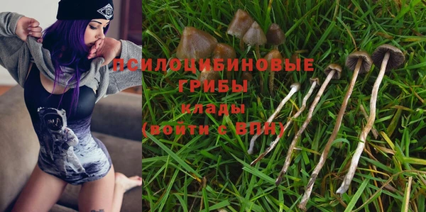 бошки Дмитриев