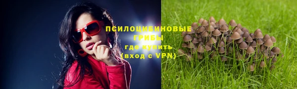 бошки Дмитриев