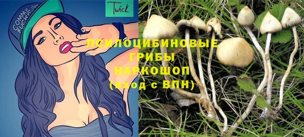 бошки Дмитриев