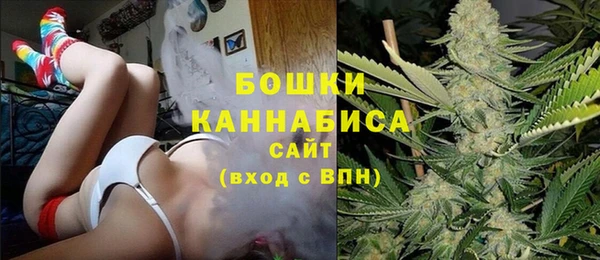 бошки Дмитриев